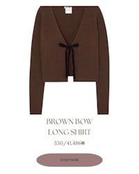 brown bow long sleeve sweater