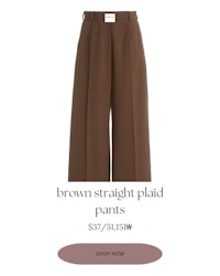 brown straight pleated pants