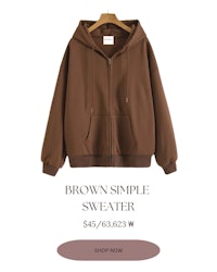 brown simple sweater